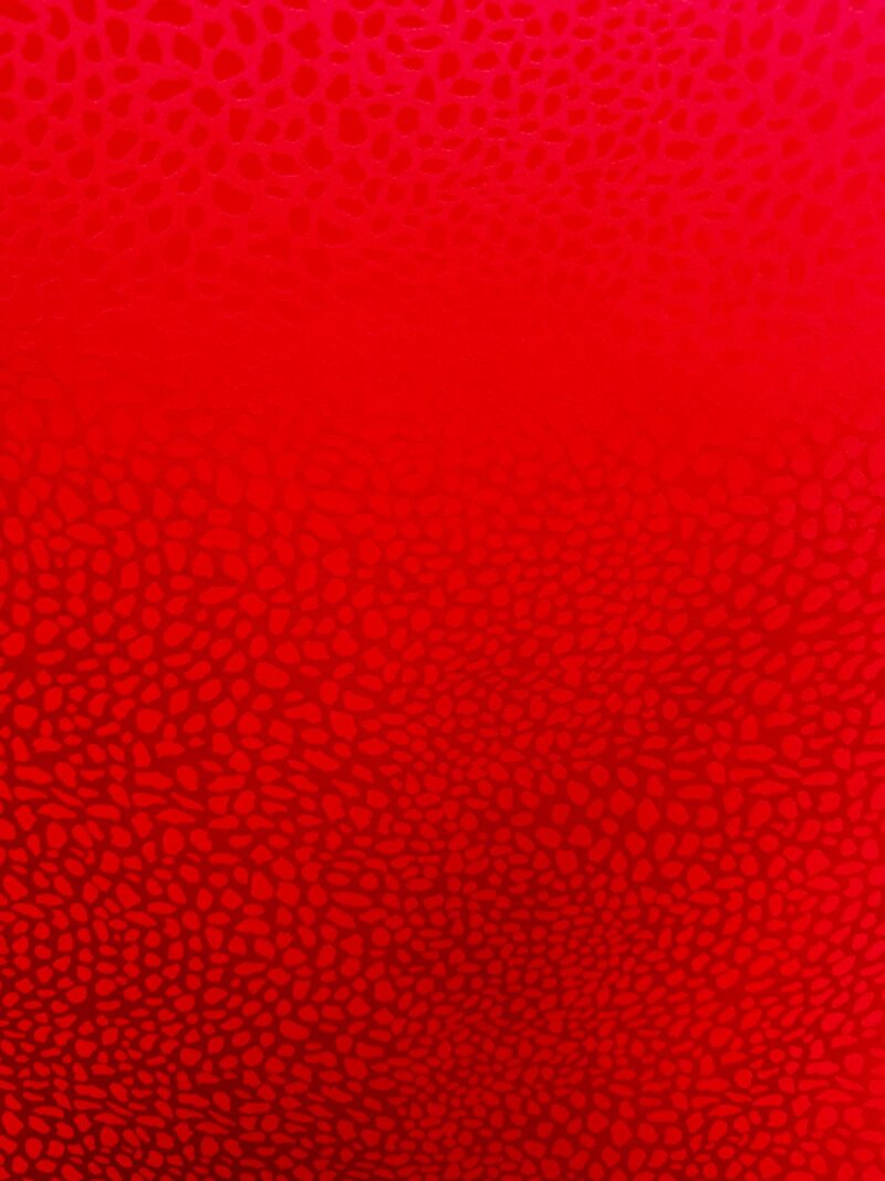 CETIM ESTAMPADO - Image 2